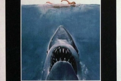 01-Jaws