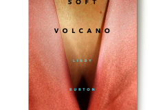 book_cover_design-1024x1024